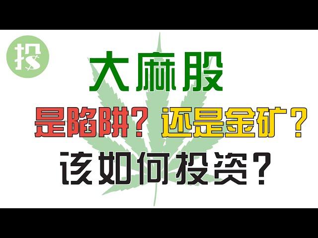 下一个暴富的机会将是大麻股？！若机会来临，你该如何投资？