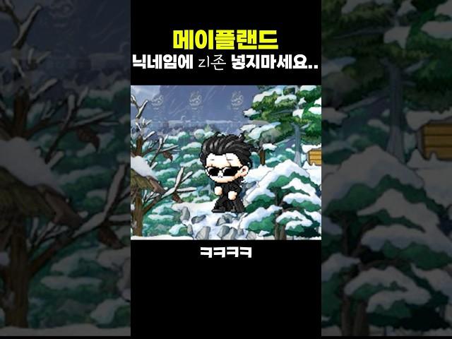 (메이플랜드)닉네임에 zl존 넣으면 안 되는 이유