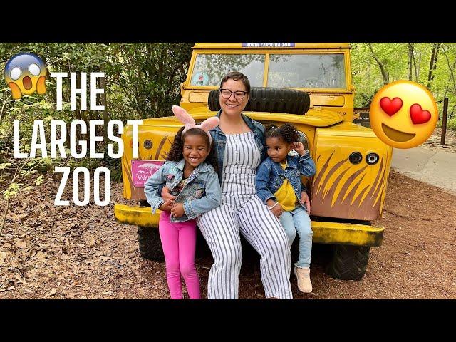 WE WENT TO THE LARGEST ZOO IN THE WORLD || DAY TRIP TO NORTH CAROLINA ZOO