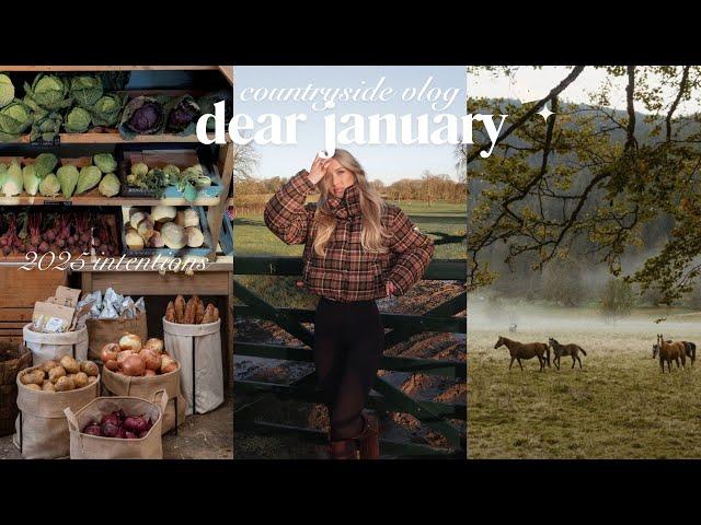 dear january: preparing for a new year in the cottage