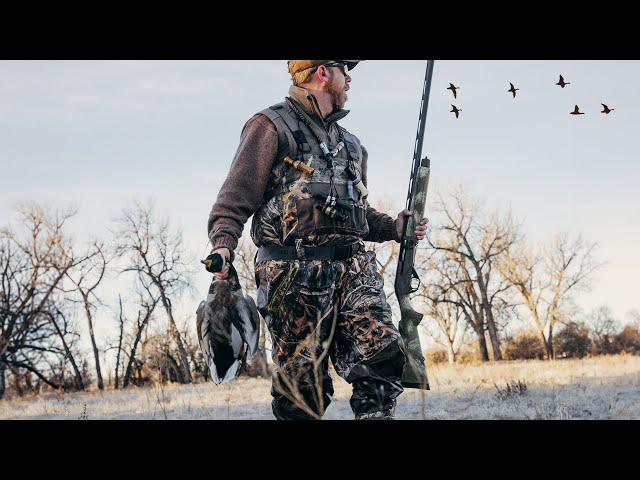 Montana River Mallards