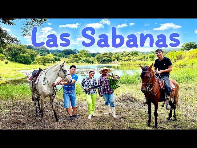 LAS SABANAS vs Other Tourist Destinations: Which is Better?