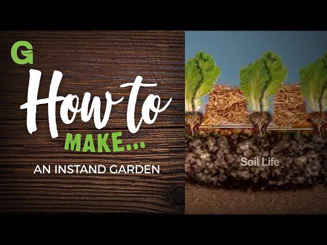 How to Build an Instant Garden