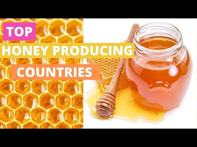 TOP HONEY PRODUCING COUNTRIES