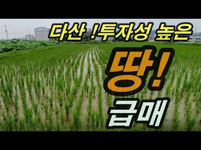 [물건번호-107]경북 고령 다산 농지매매#초급매#위치짱#298평 당55만원#화원 인근 대토환영#오부TV-오소장 010-4584-2100