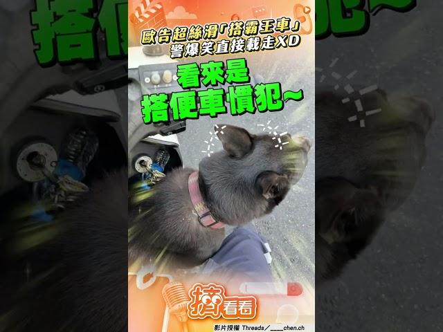 歐告超絲滑「搭霸王車」! 警被發「兜風邀請」爆笑直接載走｜TVBS新聞網@tvbsnews24live