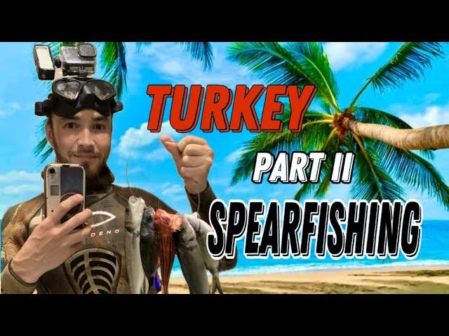 Spearfishing in the Mediterranean sea  TÜRKIYE