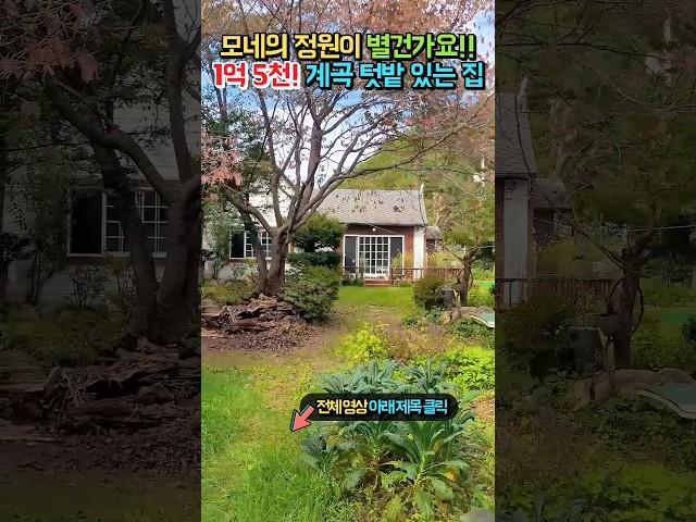 급매 1억 5천!! 모네의 정원 같은 집!! 계곡 텃밭 이쁜 실내까지!! 가성비 최고 전원주택 매매 급매물 #shorts