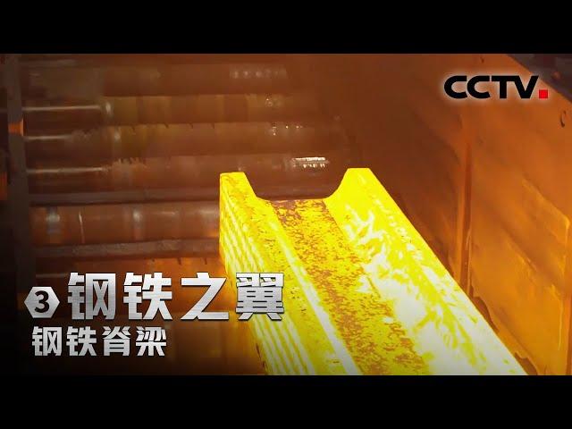 寿命70年！马钢改变了重型H型钢从国外进口的历史 「钢铁脊梁」第三集 | CCTV财经