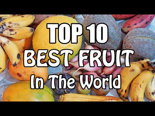 Top 10 BEST Fruit in The World (2019) - Weird Fruit Explorer Ep. 405