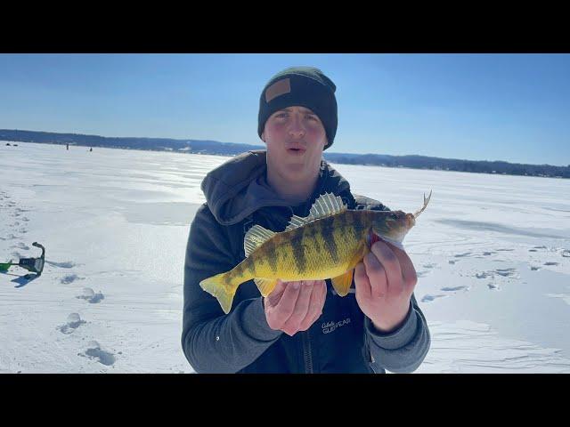 Ice Fishing for Pike and Perch // Northern Michigan (Tip Up/Spearing)