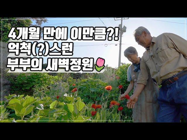 [ SUB ] 새벽을 기다리는 부부 A Couple Waiting for Dawn | 정원의 발견 Wonders of Garden | KBS제주20230512방송