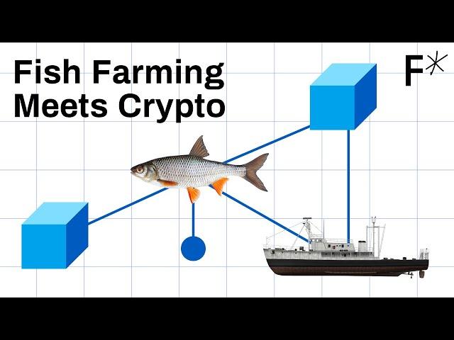 Why Indonesian fishers now have crypto wallets