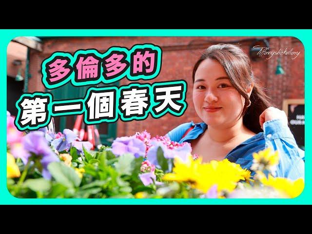 VLOG移民加拿大｜多倫多的第一個春天｜FLOWERS MARKET｜AGO