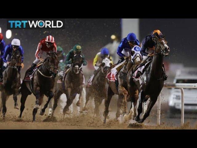 UAE's prestigious horse race back after pandemic hiatus | Money Talks