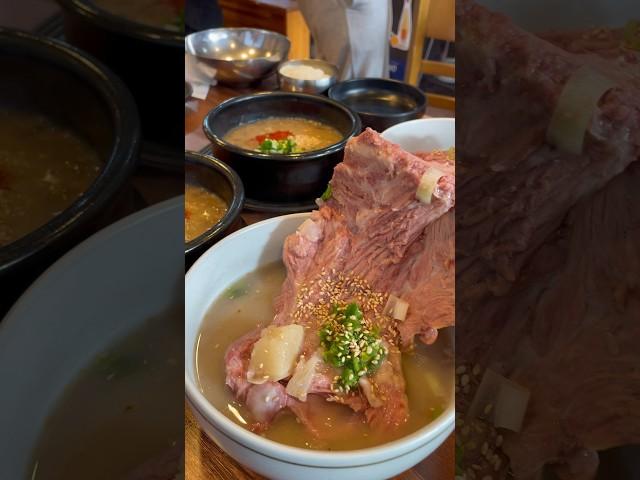 제주도맛집 넉둥베기 고사리육계장 접짝뼈국 #제주맛집 #제주도맛집 #shorts