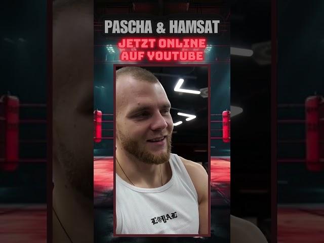 Hey DANA, send this man contract!  #mma #boxing #ufc #hamsatshadalov #paschawall #sports #fighter