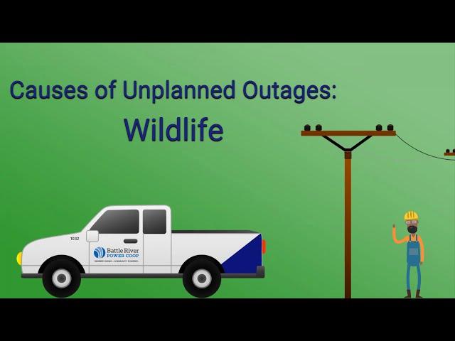 Unplanned Power Outages - Wildlife