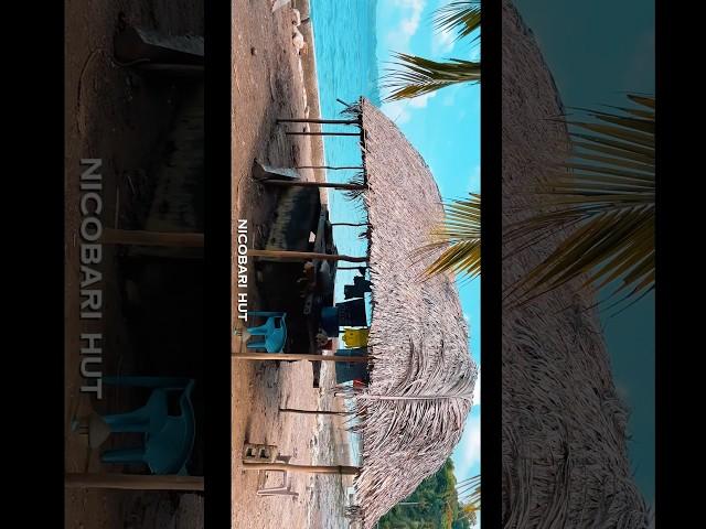 A peaceful Nicobari hut in Nancowry  #village #nicobar #natureislanddominica