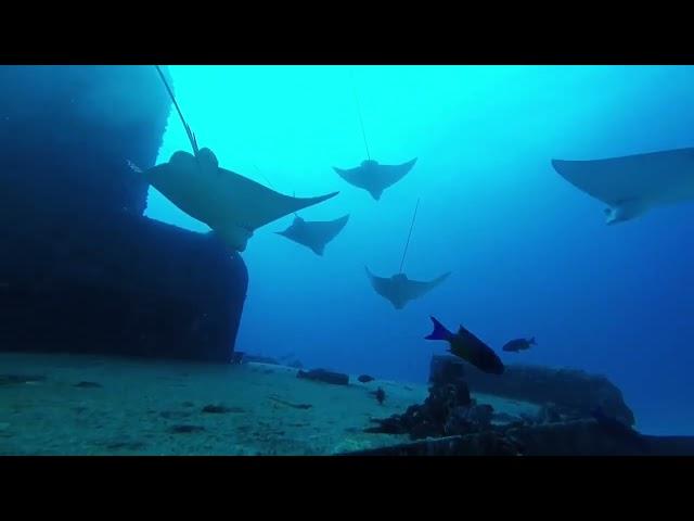 Shipwreck Dive 85ft. in Cancun Minesweeper C58