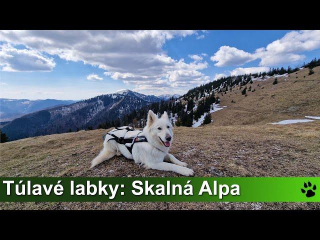 Túlavé labky: Skalná Alpa (Veľká Fatra)