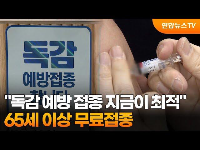 "독감 예방 접종 지금이 최적"…65세 이상 무료접종 / 연합뉴스TV (YonhapnewsTV)