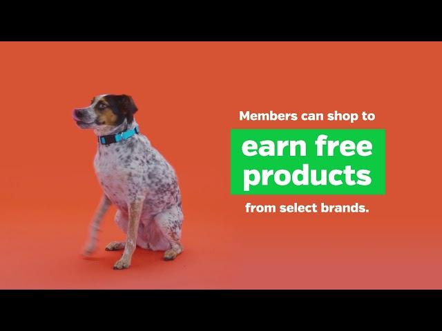 Pet Supplies Plus - We're big on Loyalty!