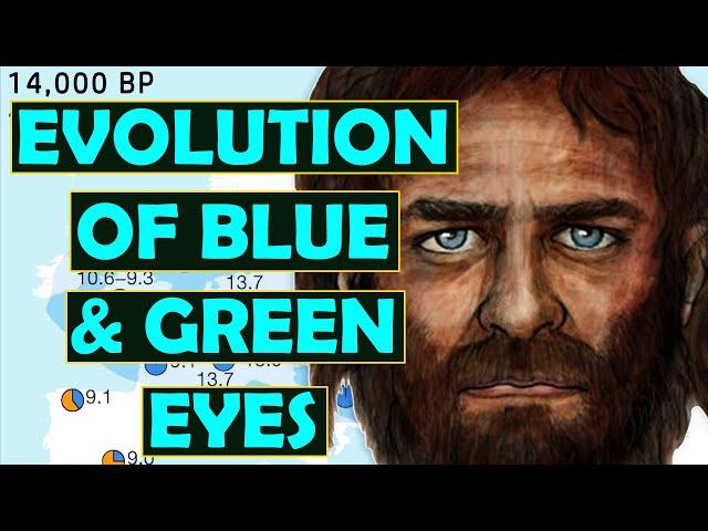 Western Hunter Gatherers and the Evolution of Blue & Green Eyes…