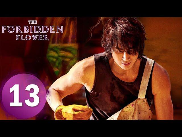 【The Forbidden Flower】EP13——Starring: Jerry Yan, Xu Ruohan | ENG SUB
