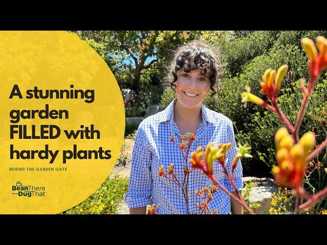 A colourful Australian native garden on the Great Ocean Road | Behind The Garden Gate