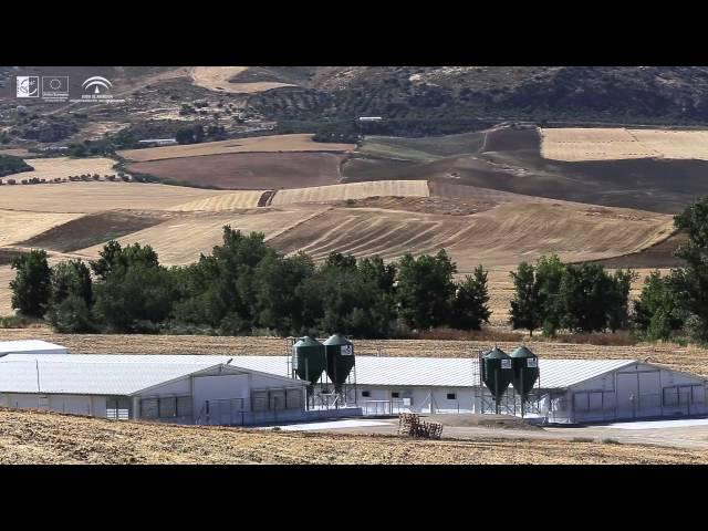 Desarrollo Rural en la Comarca de Guadalteba