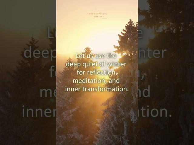 Winter Solstice Reflection