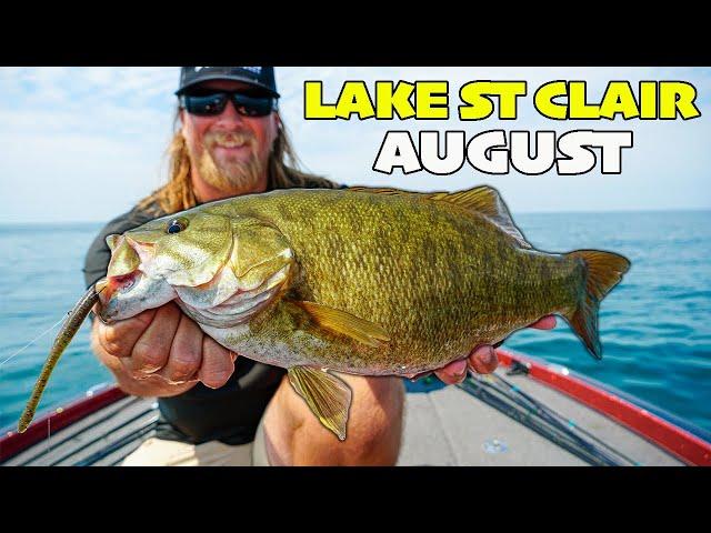 Lake St Clair Smallmouth Bass Fishing Report: August 2024