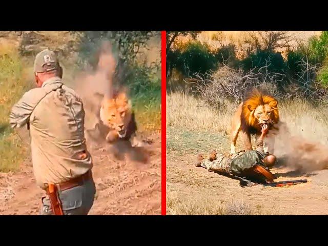 Lion TAKES REVENGE on Trophy Hunters!