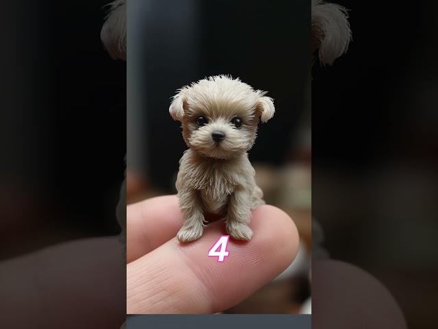 Adorable Mini Dogs and Puppies Compilation!  #TinyPaws #cutenessoverload #ai #midjourney #cat #dog