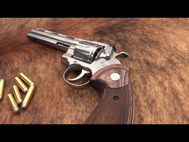 Hickok45 Shoots The 2020 Python .357 Magnum