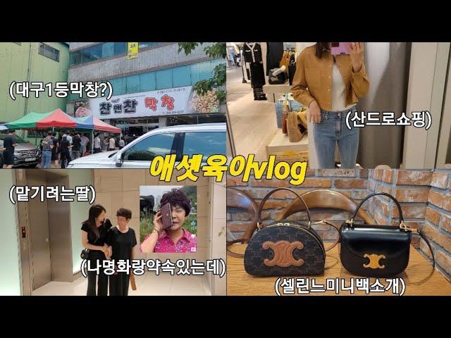 육아vlog. 대구 찬앤찬막창 드디어 영접(셀린느하프문백, 산드로 쇼핑, 셀린느미니백, 친정엄마와 셋째를 사이에 둔 팽팽한 대결?, 삼남매육아)