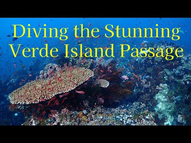 Scuba Diving the Verde Island Passage