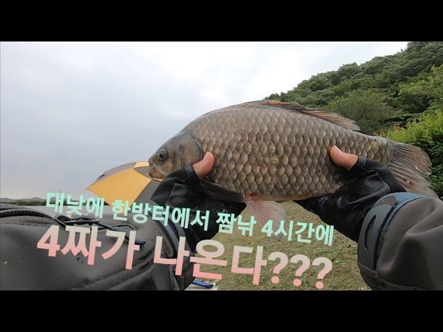 붕어낚시-김포 조강지 4짜 인생 고기 걸었어요 #bigfish #대물낚시