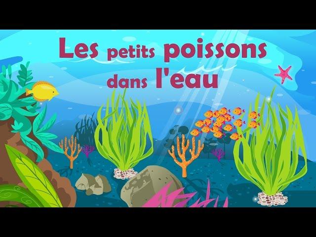 Les petits poissons dans l'eau - French Nursery Rhyme for kids and babies (with lyrics)