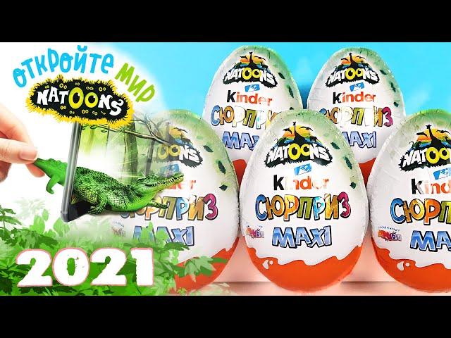 Киндер Сюрприз МАКСИ NATOONS 2021! Unboxing Kinder MAXI Surprise ЖИВОТНЫЕ НАТУНС Новая коллекция!