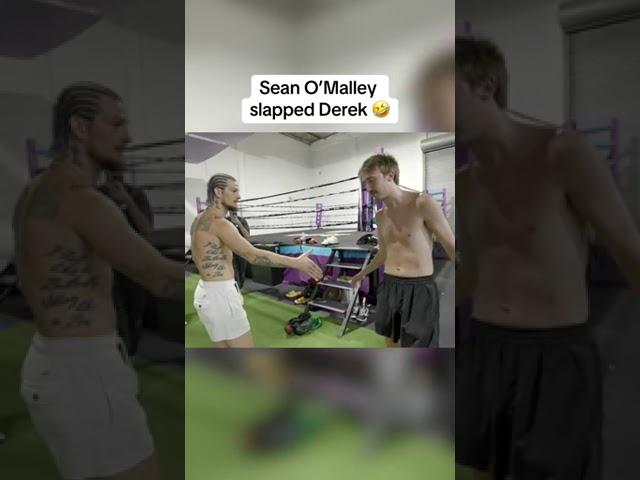 Sean O'Malley slapped Derek 