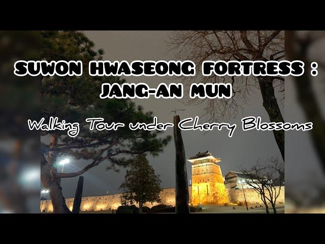 SUWON HWASEONG FORTRESS: JANG-AN MUN | Walking Tour Featuring Cherry Blossoms