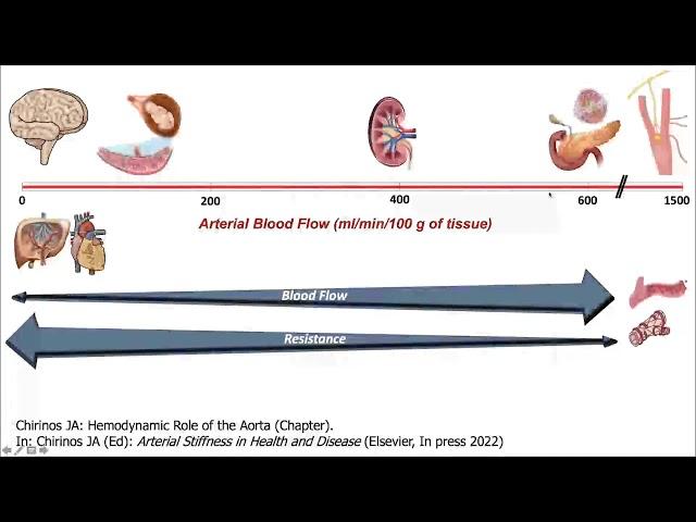 Large Artery Stiffness and Wave Reflection in Cardiovascular Disease