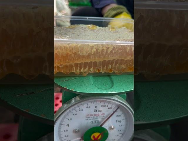 Cut the water head into a box.1 June 2025
