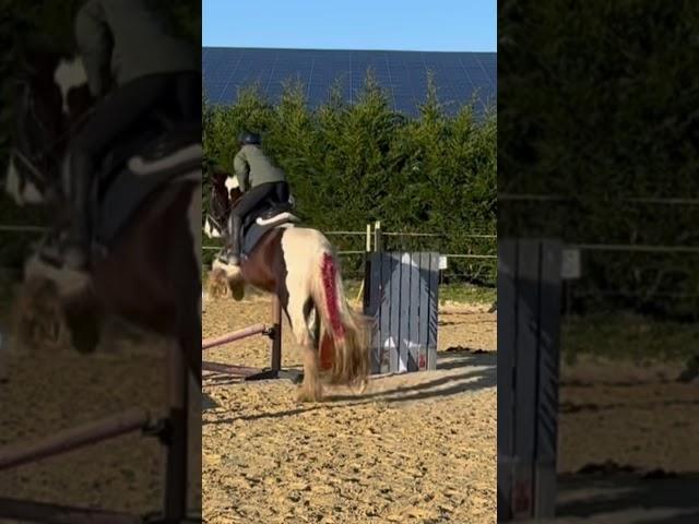 Same day different time #horse #showjumpinglessonideas #horses #equestrian #showjumpingtrainer #pony