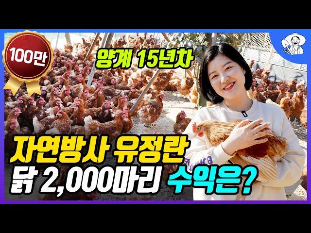 여고 졸업하고 귀농해서 닭 2,000마리 자연방사로 유정란 파는 청년농부