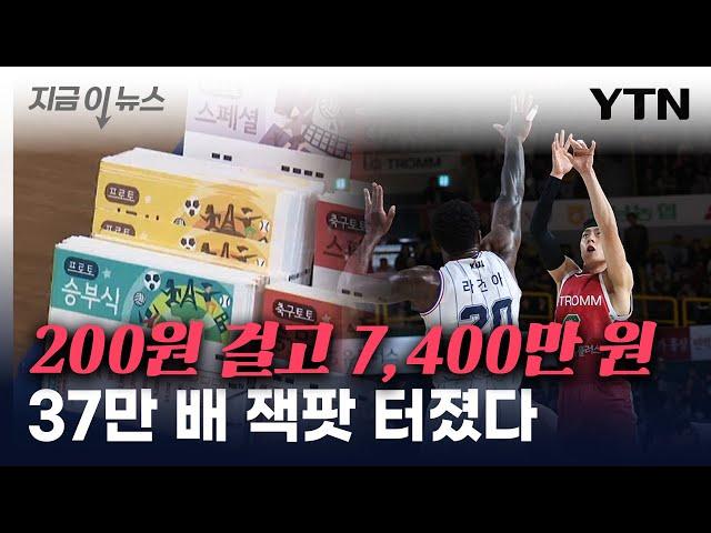 국내서 터진 '잭팟'...200원 걸고 '37만 배' 먹은 당첨자 [지금이뉴스] / YTN