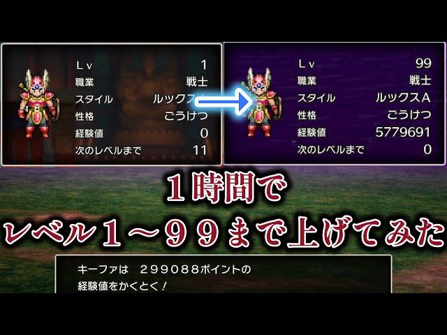 【ドラクエ３リメイク】これぞ究極のレベル上げ！１時間でレベル１から９９まで上げてみた　ネタバレあり【HD2Dドラクエ3】