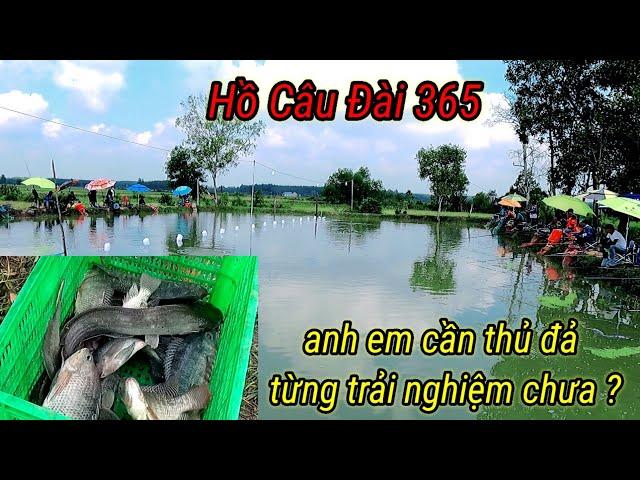 Điểm câu cá giải trí Hồ Câu Đài 365 nơi thỏa chí đam mê cho anh em cần thủ  @CauDaoSaiThanh